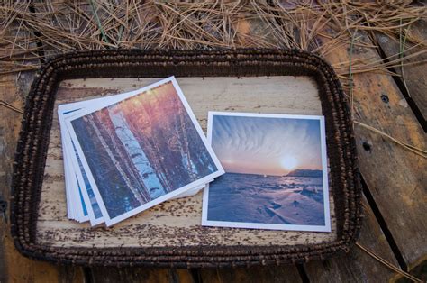 Birch Tree Fine Art Photography Print Nature Photography - Etsy