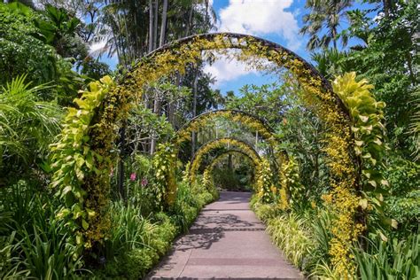 The World’s Best Orchid Gardens in the Tropics - Tropical House & Garden