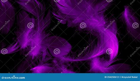 Violet Duck Feathers on a Black Isolated Background Stock Photo - Image ...