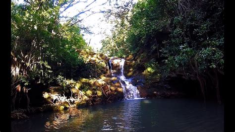 Kalauao Falls Hike (aka Aiea Loop Trail Waterfall), Oahu, Hawaii - YouTube