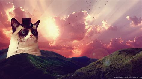 Grumpy Cat In Space Wallpaper