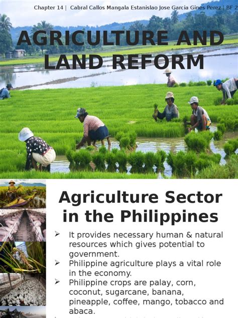 Agrarian Reform in the Philippines | Agriculture | Food Security