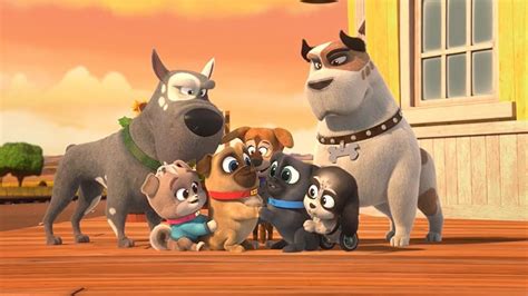 "Puppy Dog Pals" Pups on Parade/Pop's Promise (TV Episode 2020) - IMDb