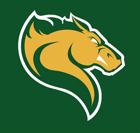 Men's Basketball Graduate Assistant - Marywood University - HoopDirt