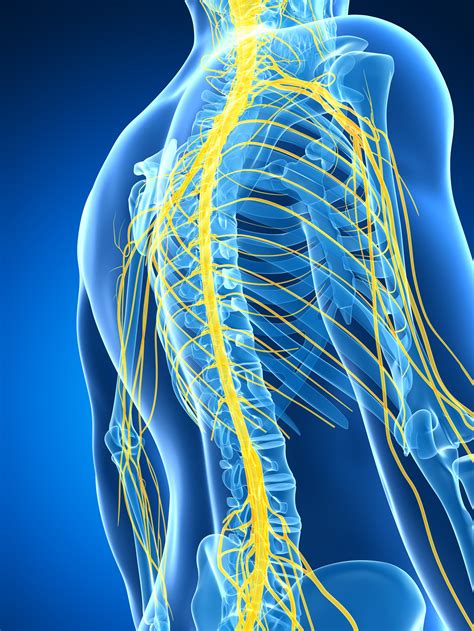 Intercostal Neuralgia Specialist in Tampa, Florida — TampaPainMD