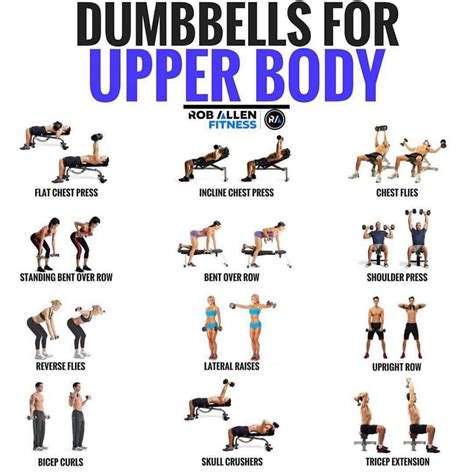 5 Dumbbell Moves That Are Key To Sculpting Gorgeous Lean Muscles ...