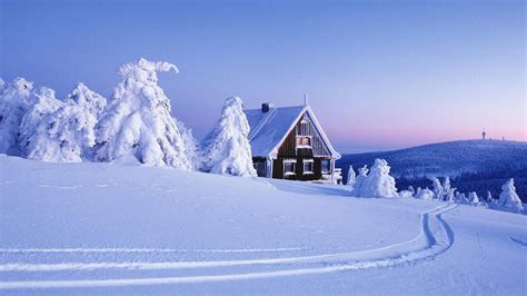 Baggrunde : lodge, sne, spor, vinter, dække over, snedriver, grantræer ...