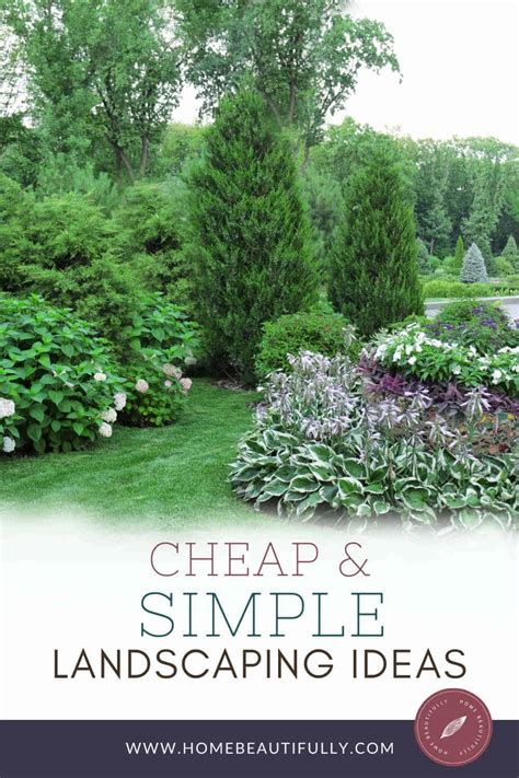 Cheap Simple Front Yard Landscaping Ideas on a Budget