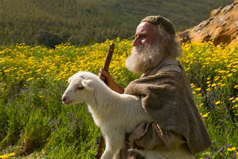 Bible Stories: The Parable of the Lost Sheep - Catholic Teacher Resources