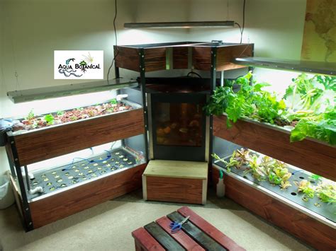 Aquaponics diy, Aquaponics system, Aquaponics