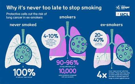 Non Smoker Lungs Vs Smoker