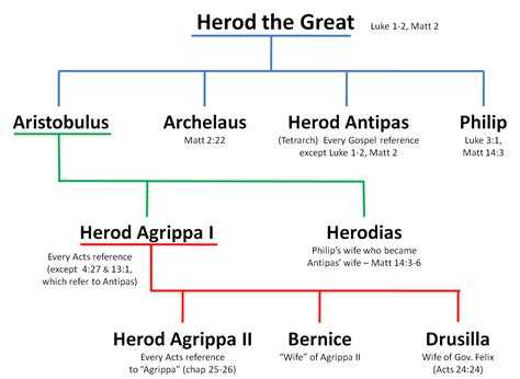 Herod’s Family Tree | Bible study topics, Bible genealogy, Bible knowledge