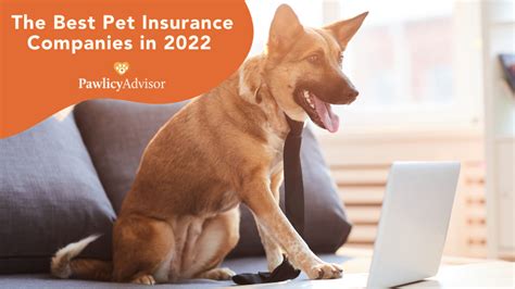 Best Pet Insurance Companies In September 2022: Data-Based Reviews ...