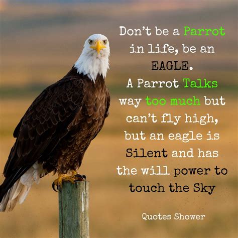 Don’t be a parrot in life, be an EAGLE. A parrot talks way too much but ...