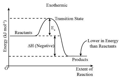 Draw an energy diagram for an exothermic reaction. Label the activation ...