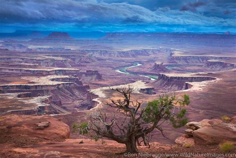 Canyonlands National Park Photos | Photos by Ron Niebrugge