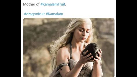 Gujarat govt’s decision to rename dragon fruit as 'Kamalam’ sparks meme ...