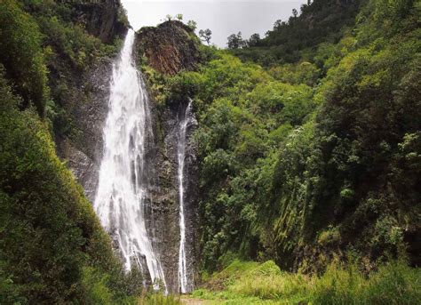 File:Manawaiopuna Falls.jpg - Wikipedia