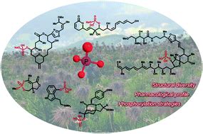 The phosphate ester group in secondary metabolites - Natural Product ...