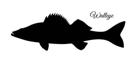 Walleye Silhouette Images – Browse 1,030 Stock Photos, Vectors, and ...