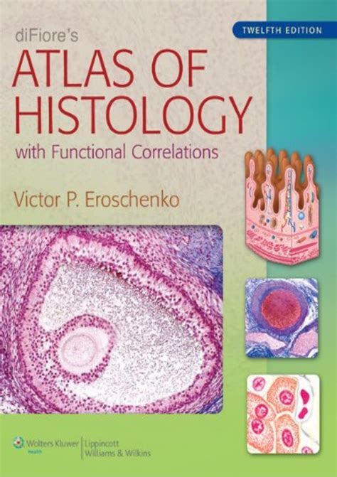 Download PDF diFiore's Atlas of Histology With Functional Correlation…