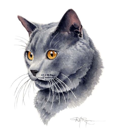 GRAY CAT PORTRAIT Art Print by Artist D J Rogers - Etsy | Watercolor ...