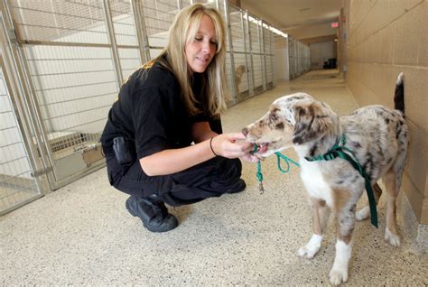 Summit Co. unveils its new $2.9 million animal shelter | cleveland.com