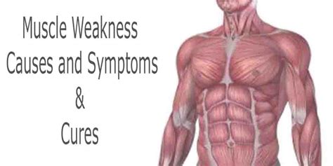 Muscle Weakness Causes, Symptoms & Cures - Sarvyoga | yoga