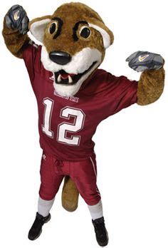 College Team Mascots on Pinterest | College football, US states and ...