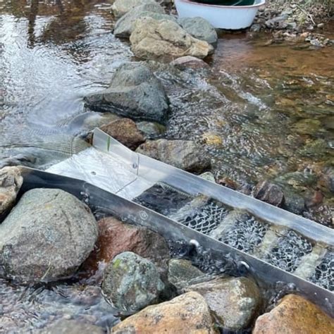 Sluice Box (Complete Guide For Choosing the Best Sluice) ⛏️