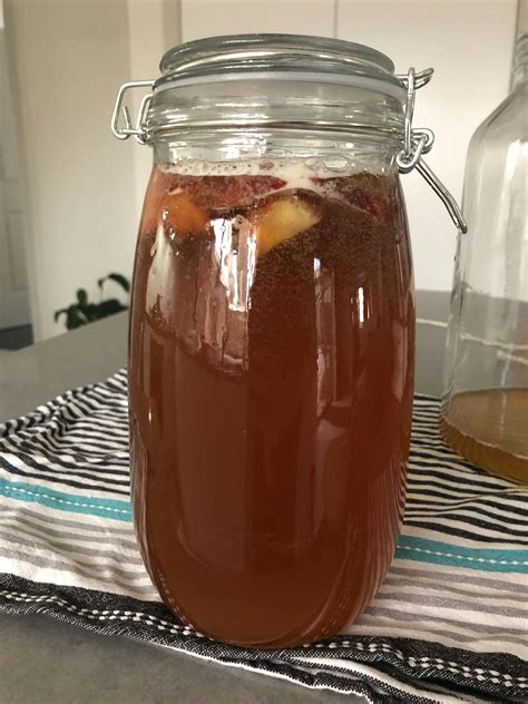 Scoby Kombucha|Scoby|Kombucha tea|Kombucha Recipe|Kombucha Australia