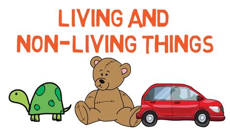 living and nonliving things clipart 10 free Cliparts | Download images ...