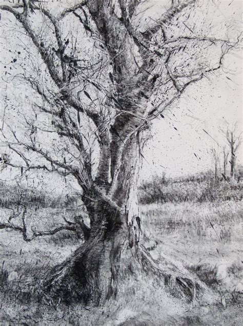 Michael Wann (charcoal and wash on canvas) | Landscape drawings ...