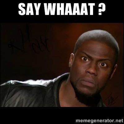 say whaaat - Google Search | say what! | Pinterest | Search