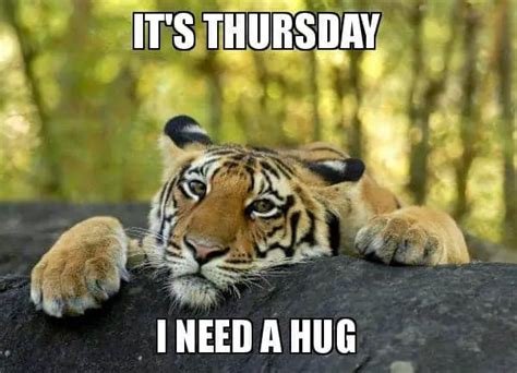 20 Need a Hug Meme to Warm You Up – SheIdeas