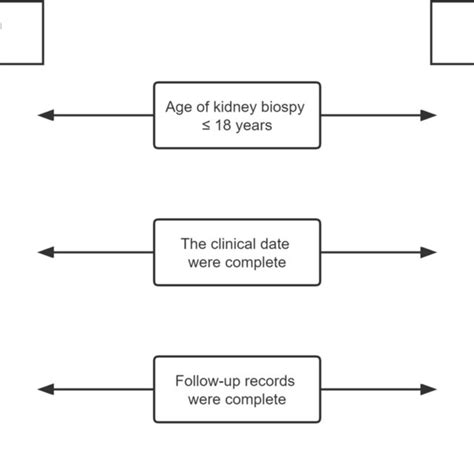 Comparison of kidney prognosis in IgA vasculitis nephritis (IgAVN) and ...