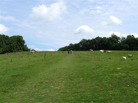 Senlac Hill © Simon Carey cc-by-sa/2.0 :: Geograph Britain and Ireland