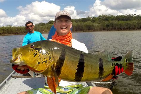 Brazil Amazon Peacock Bass Fishing - River Plate Anglers