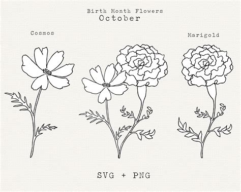 October Birth Flowers