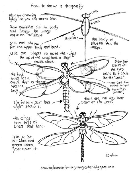 How to Draw Worksheets for The Young Artist: Printable How To Draw A ...