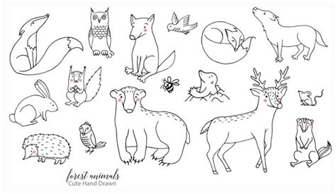 line Art Drawings Animals Illustrations