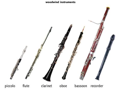 Instruments of Orchestra: The Woodwind Section