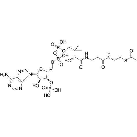 Acetyl coenzyme A (Acetyl-CoA) | Central Metabolic Intermediate ...