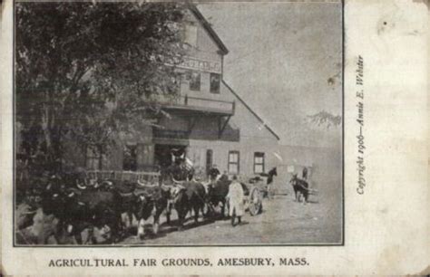 438 best images about Amesbury MA History on Pinterest | Lakes, Birds ...