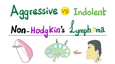 Aggressive VS Indolent Non-Hodgkin's Lymphoma - YouTube