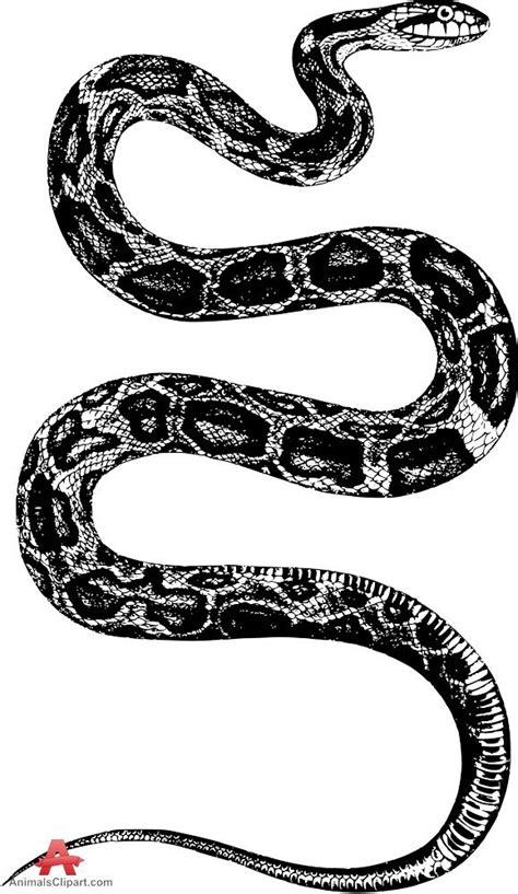 Rattlesnake Tail Vector - Snake Drawing