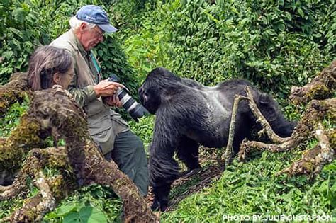 Uganda Gorilla Trekking in December - Bwindi Impenetrable National Park