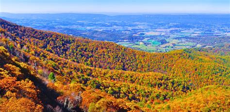 Fall in Shenandoah Valley, Virginia: 10 Places to See Fall Foliage