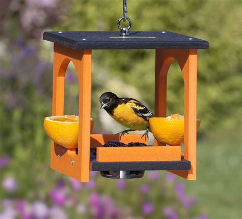 Duncraft.com: Oriole Fruit & Jelly Gazebo Feeder | Wooden bird feeders ...