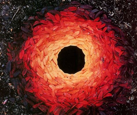 Andy Goldsworthy | Andy goldsworthy, Autumn leaves art, Artist inspiration